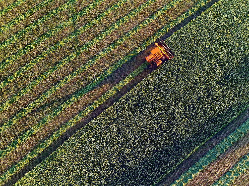 Aerial view harvesting at sunset